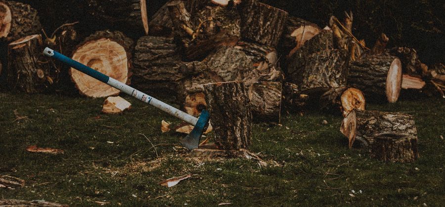 Axe resting against a chopping block with freshly cut logs stacked in the background